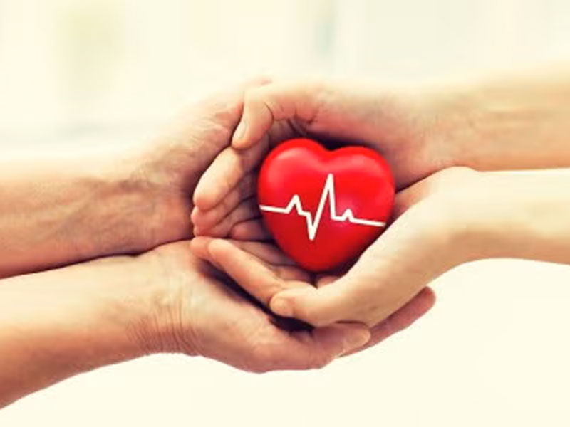 Hand holding a heart-shaped toy, symbolizing charitable giving through a living trust in Tracy, CA